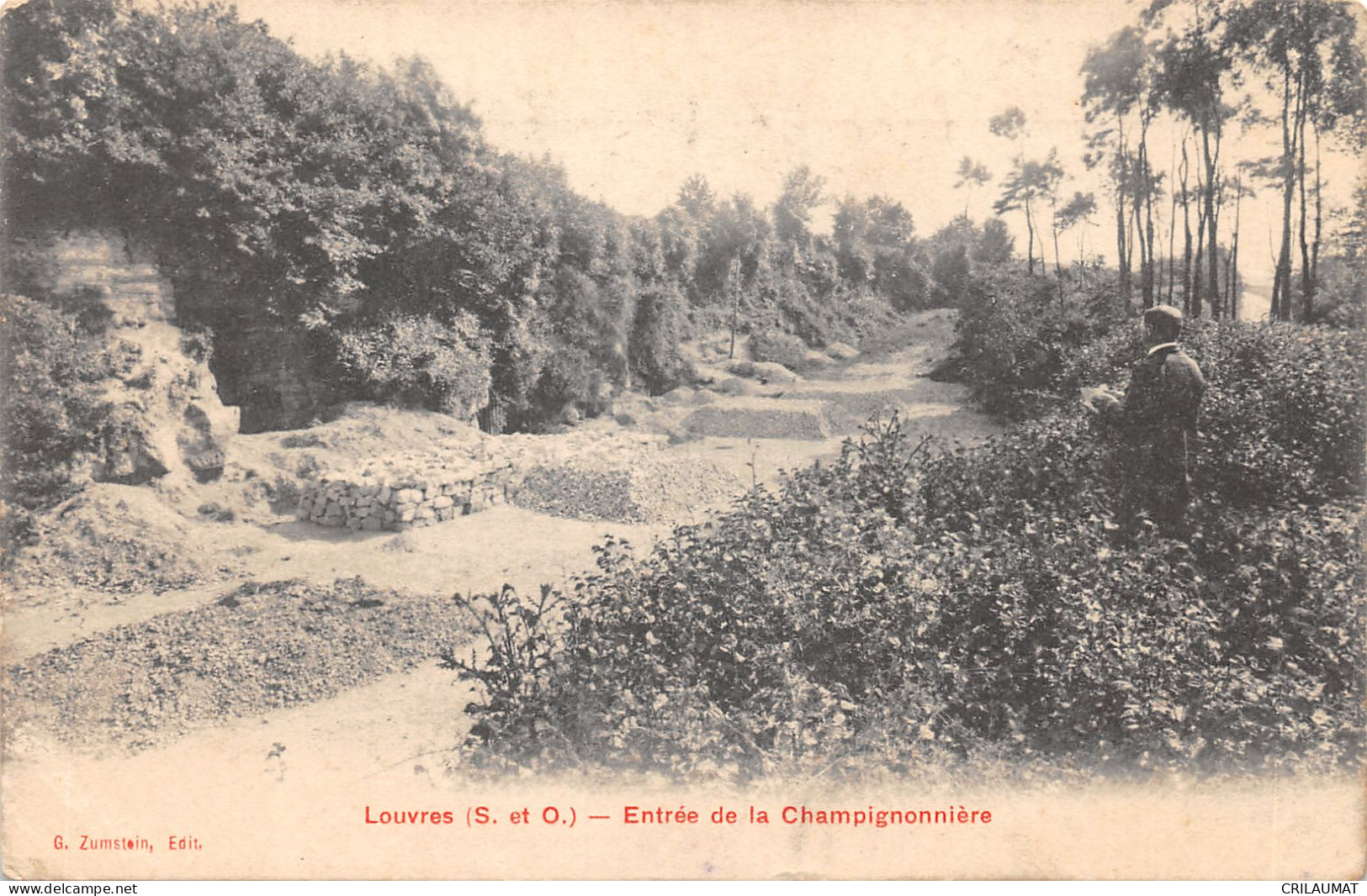 95-LOUVRES-N°6042-D/0101 - Louvres