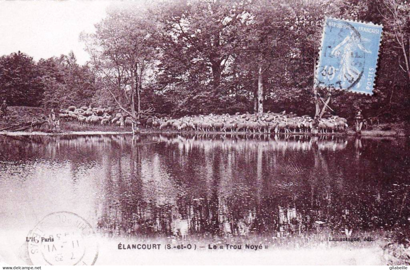 78 - Yvelines -  ELANCOURT - Le "Trou Noyé" - Troupeau De Moutons - Elancourt