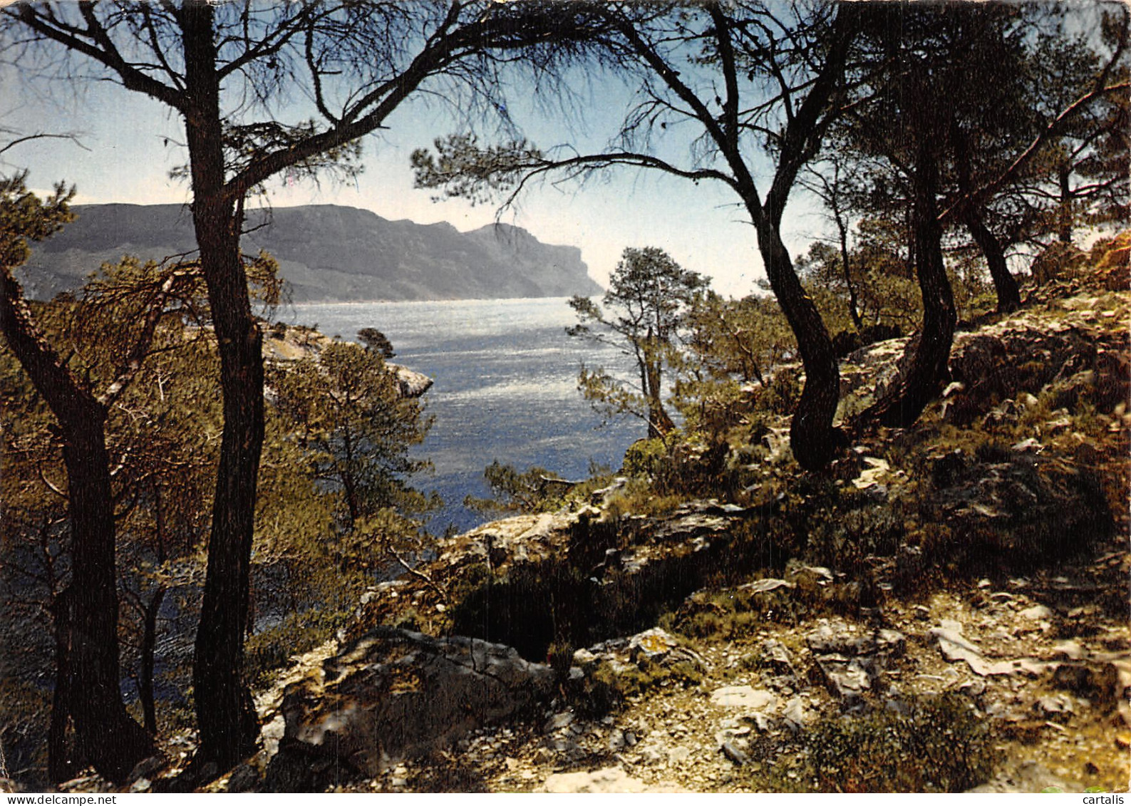 13-CASSIS SUR MER-N°4264-A/0331 - Cassis