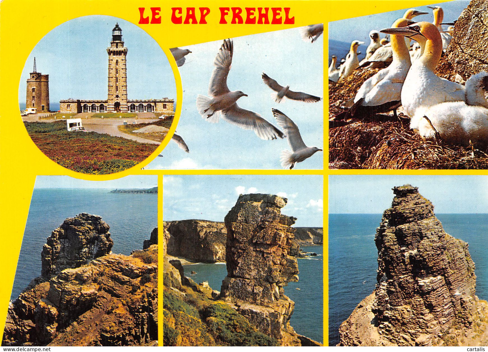 22-CAP FREHEL-N°4264-A/0149 - Cap Frehel