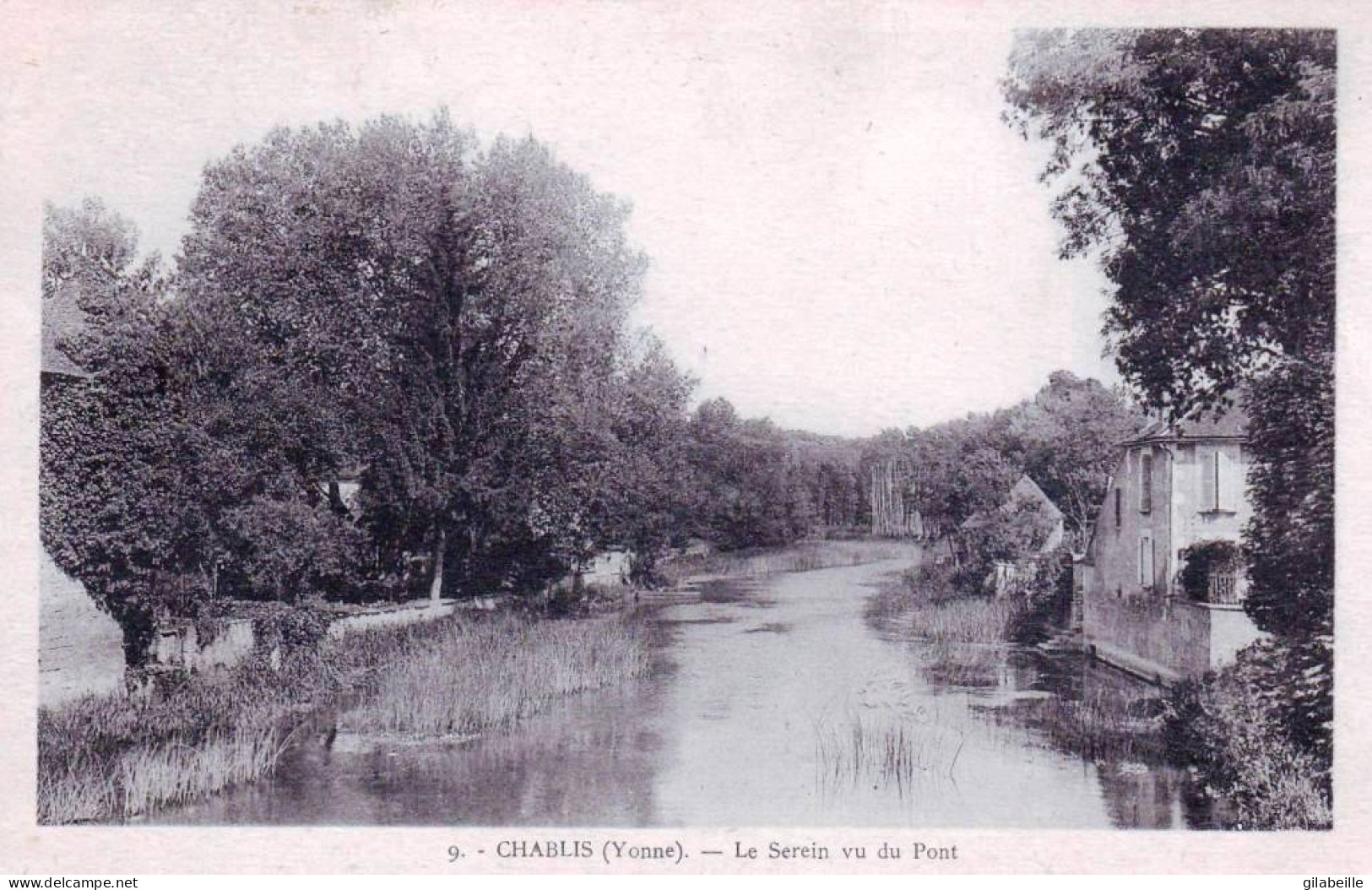 89 - Yonne -  CHABLIS - Le Serein Vu Du Pont - Chablis