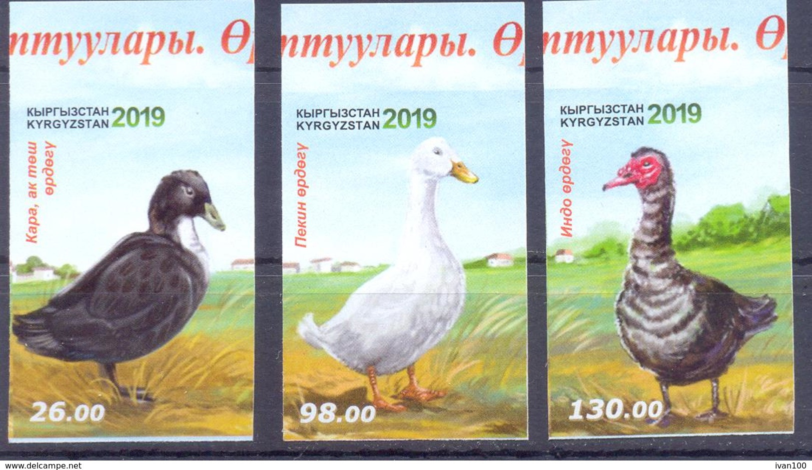 2019. Kyrgyzstan, Poultry, Ducks, 3v Imperforated, Mint/** - Kirghizistan