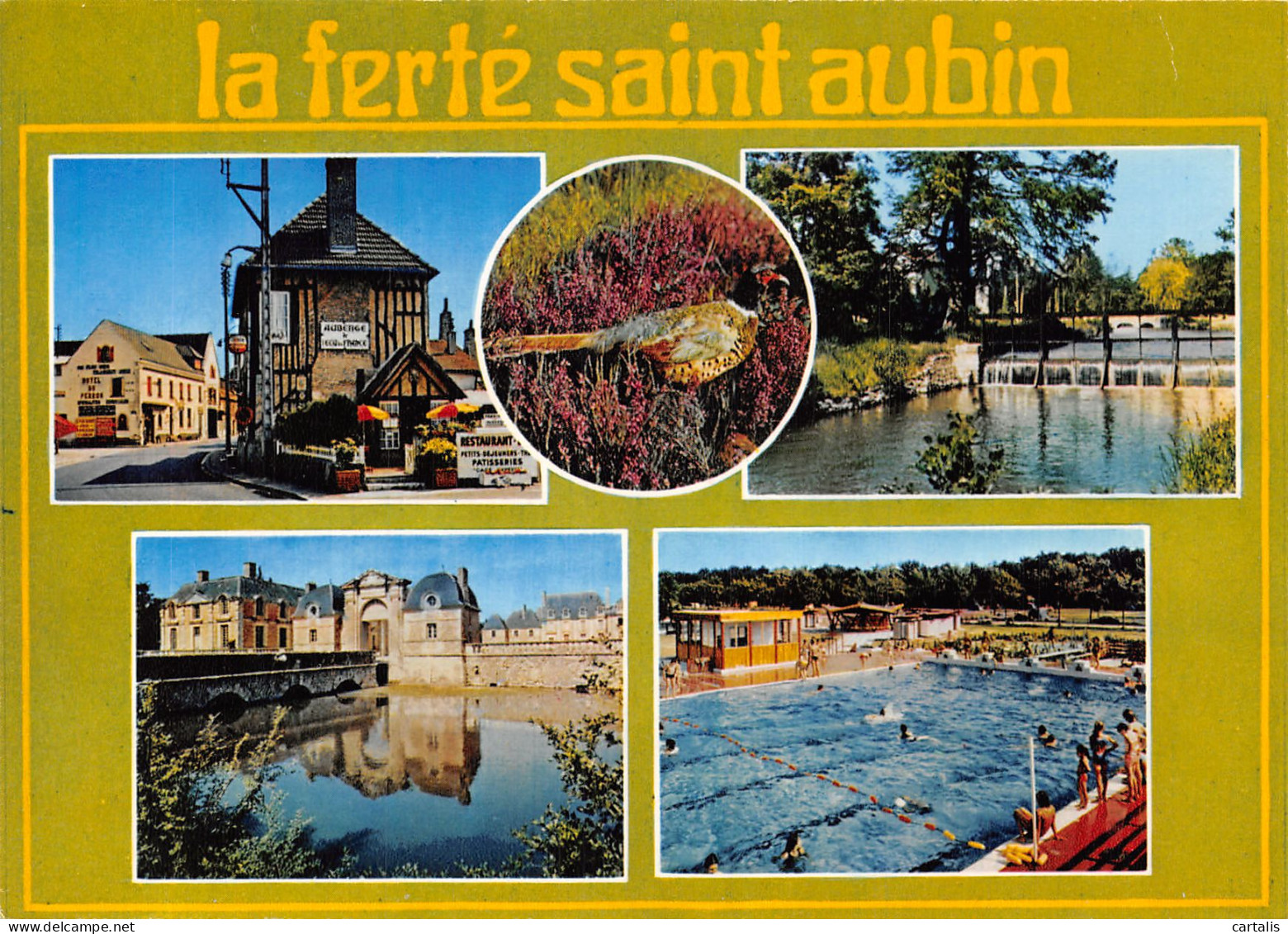 45-LA FERTE SAINT AUBIN-N°4264-D/0385 - La Ferte Saint Aubin