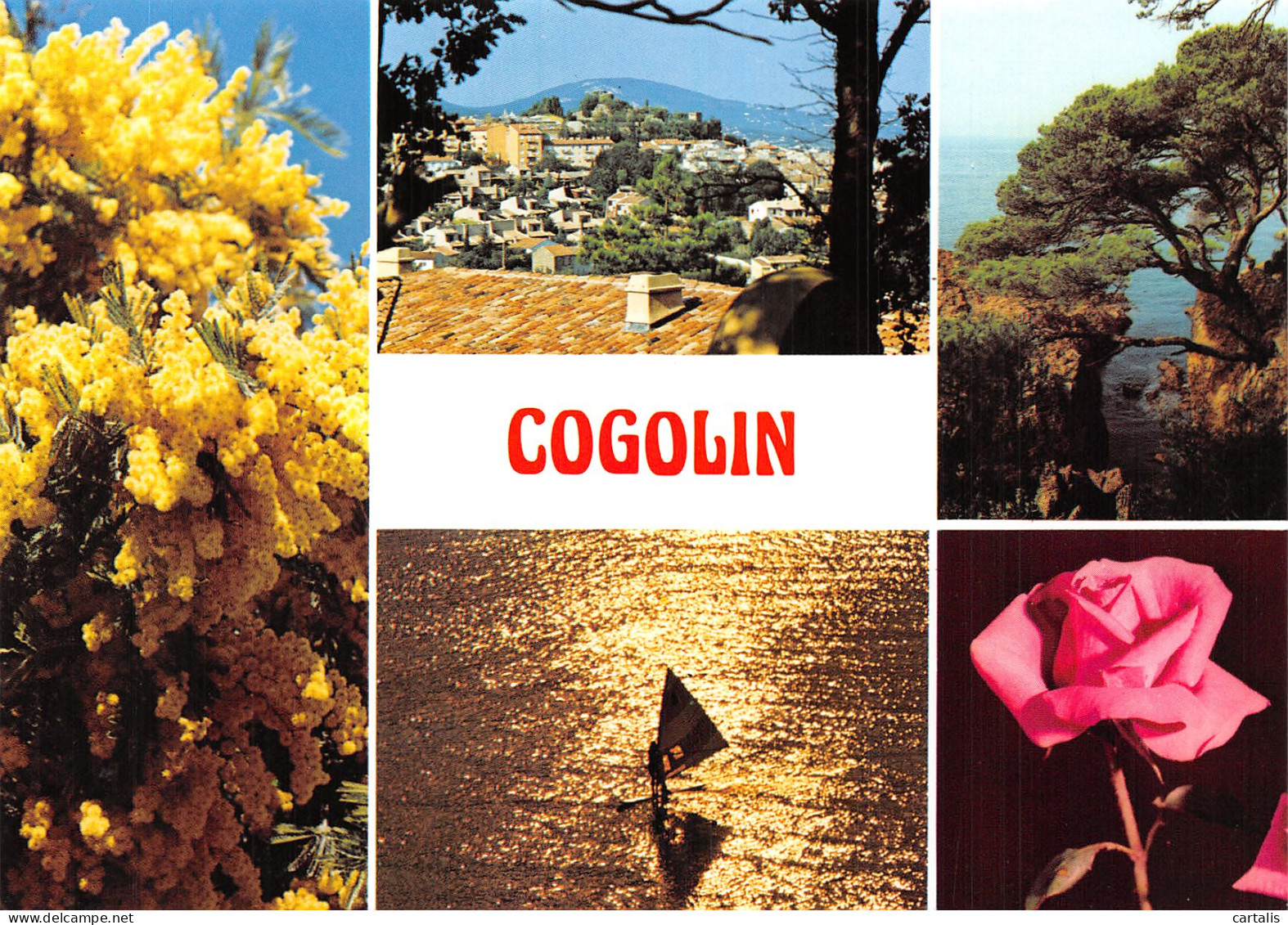 83-COGOLIN-N°4265-C/0267 - Cogolin