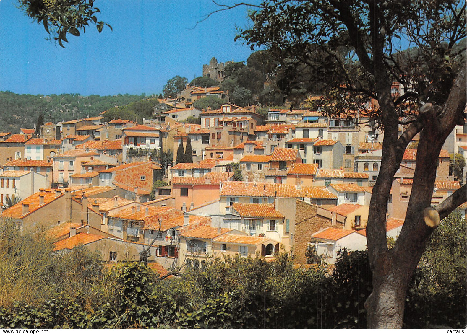 83-BORMES LES MIMOSAS-N°4265-A/0255 - Bormes-les-Mimosas