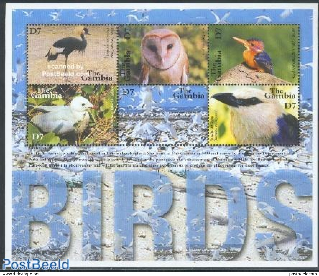 Gambia 2001 Birds 5v M/s /Black Crowned Crane, Mint NH, Nature - Birds - Owls - Gambia (...-1964)