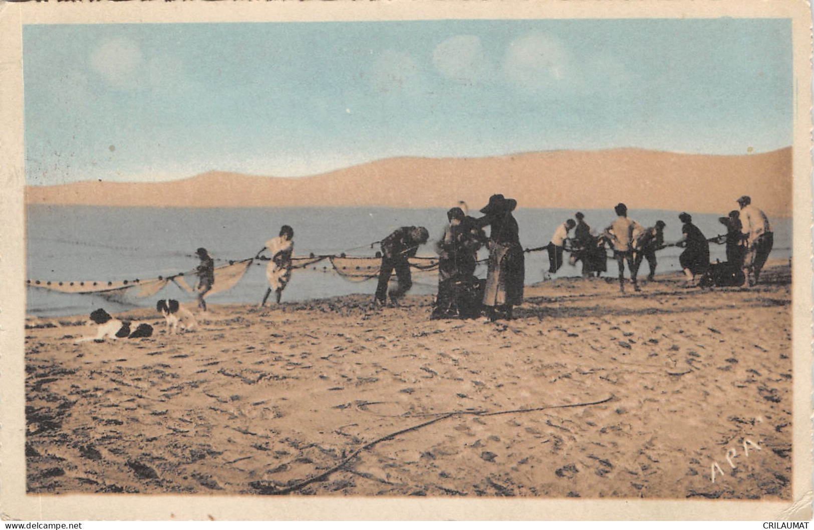 66-CANET PLAGE-N°6045-E/0269 - Canet Plage