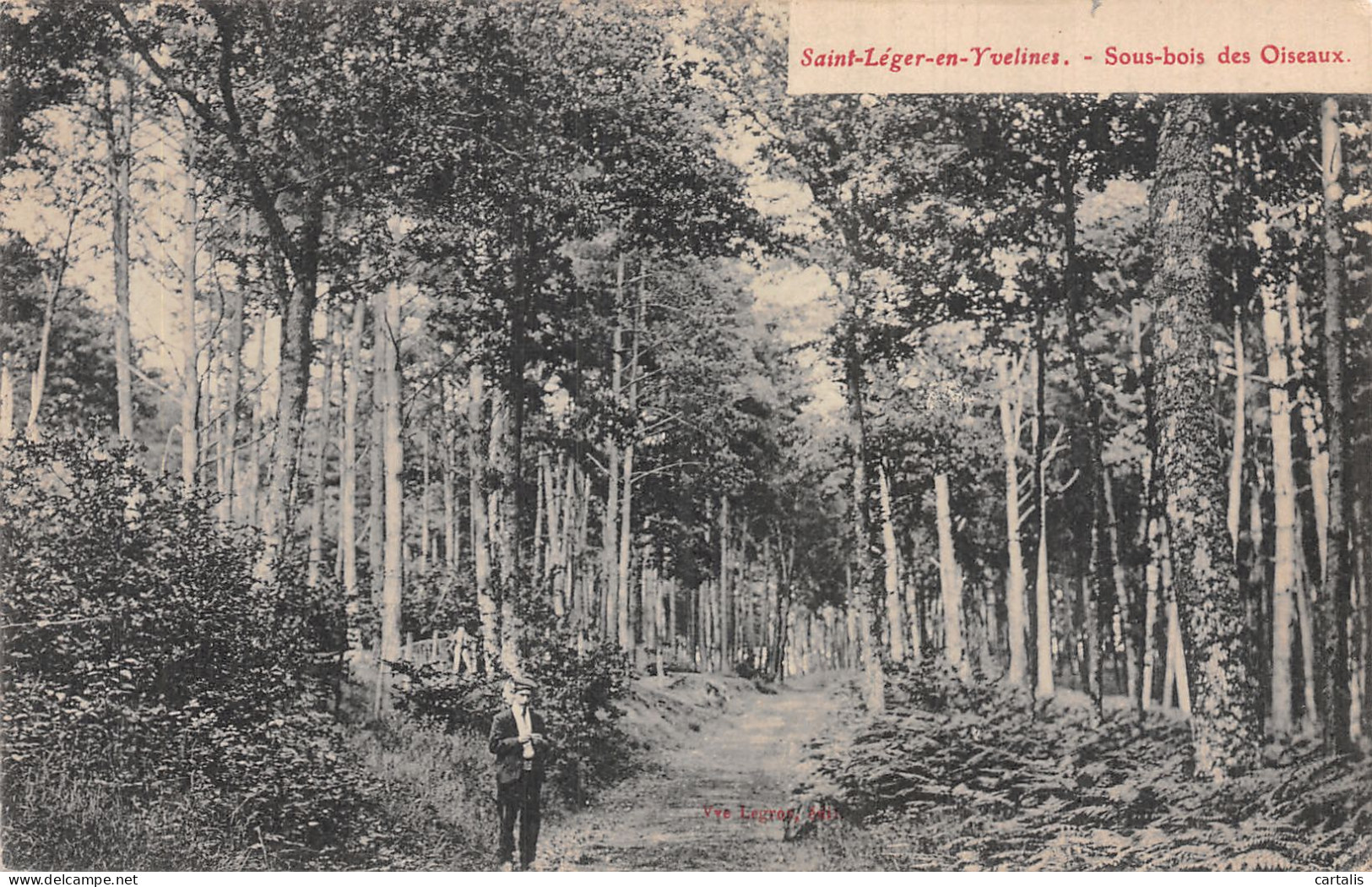 78-SAINT LEGER EN YVELINES-N° 4431-G/0255 - St. Leger En Yvelines