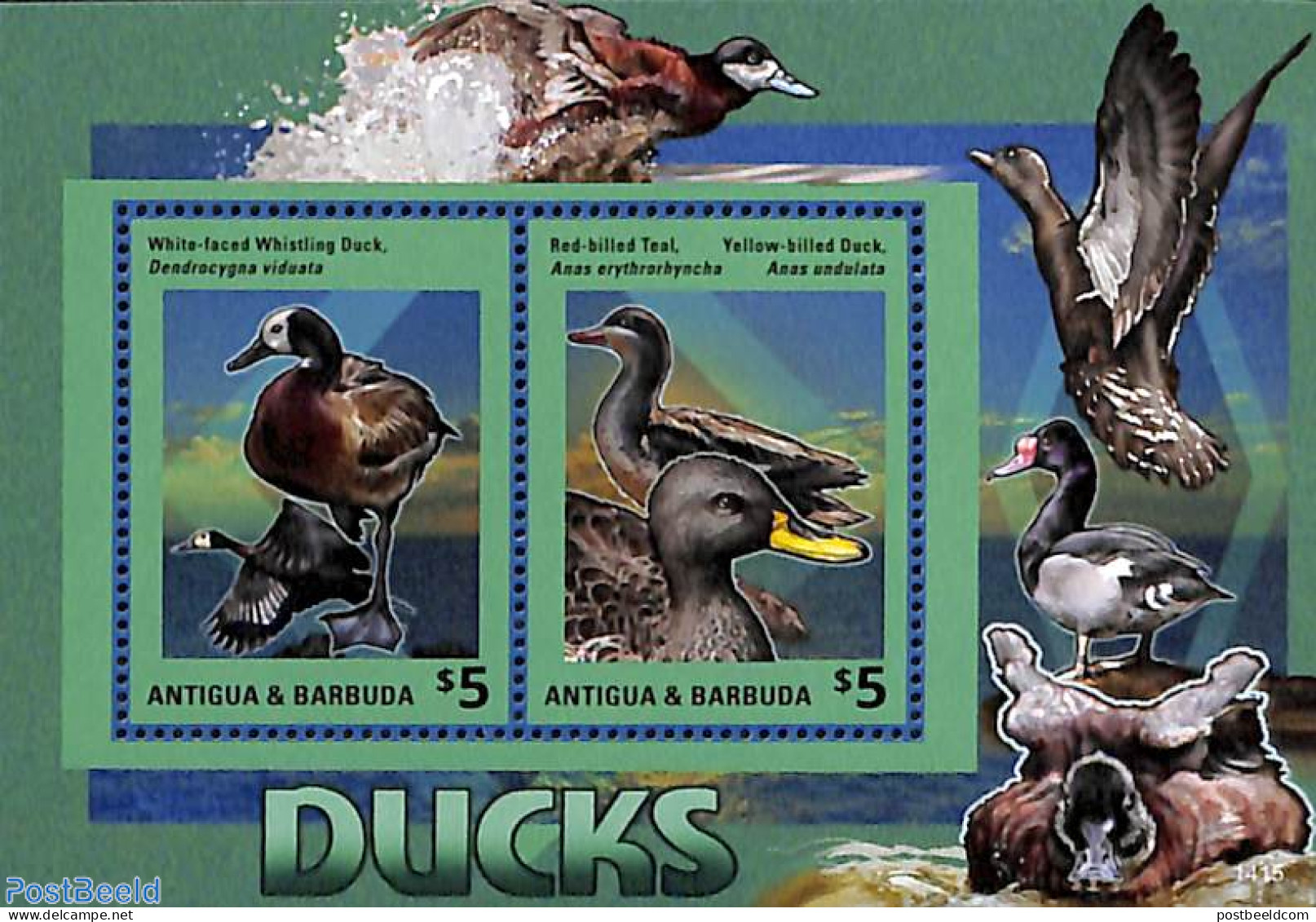 Antigua & Barbuda 2014 Ducks 2v M/s, Mint NH, Nature - Birds - Ducks - Antigua Und Barbuda (1981-...)