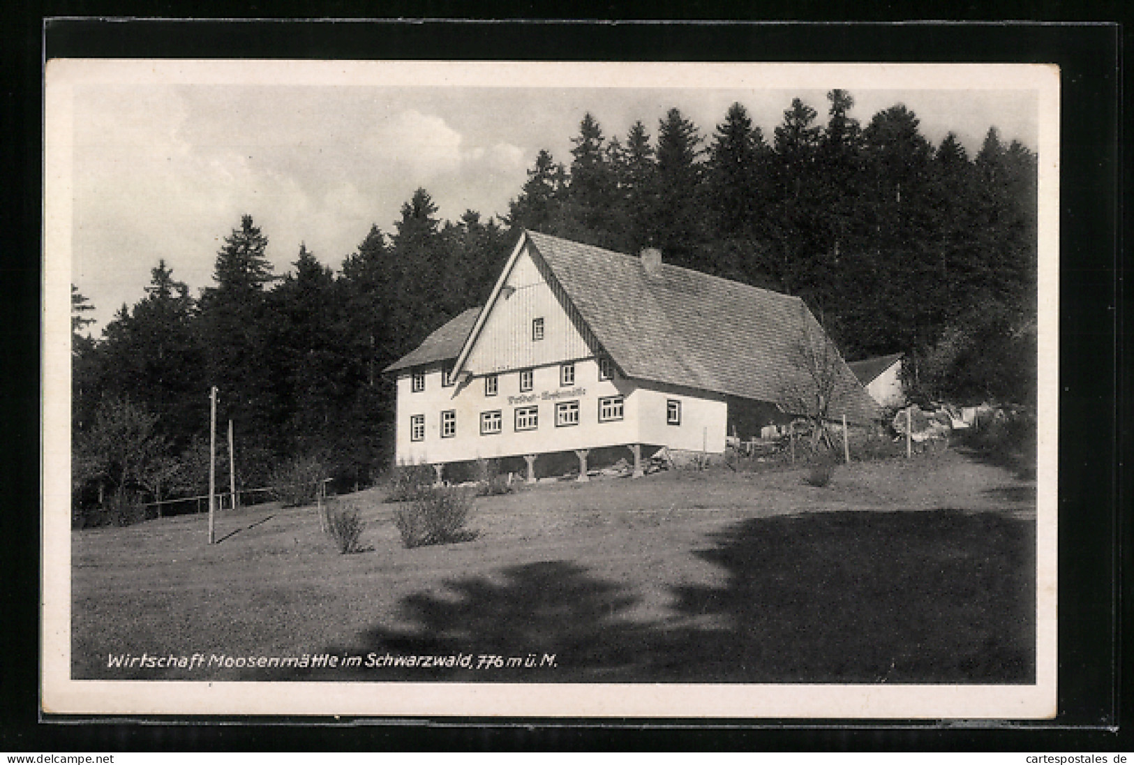 AK Wolfach /Schwarzwald, Gasthaus Moosenmättle  - Wolfach