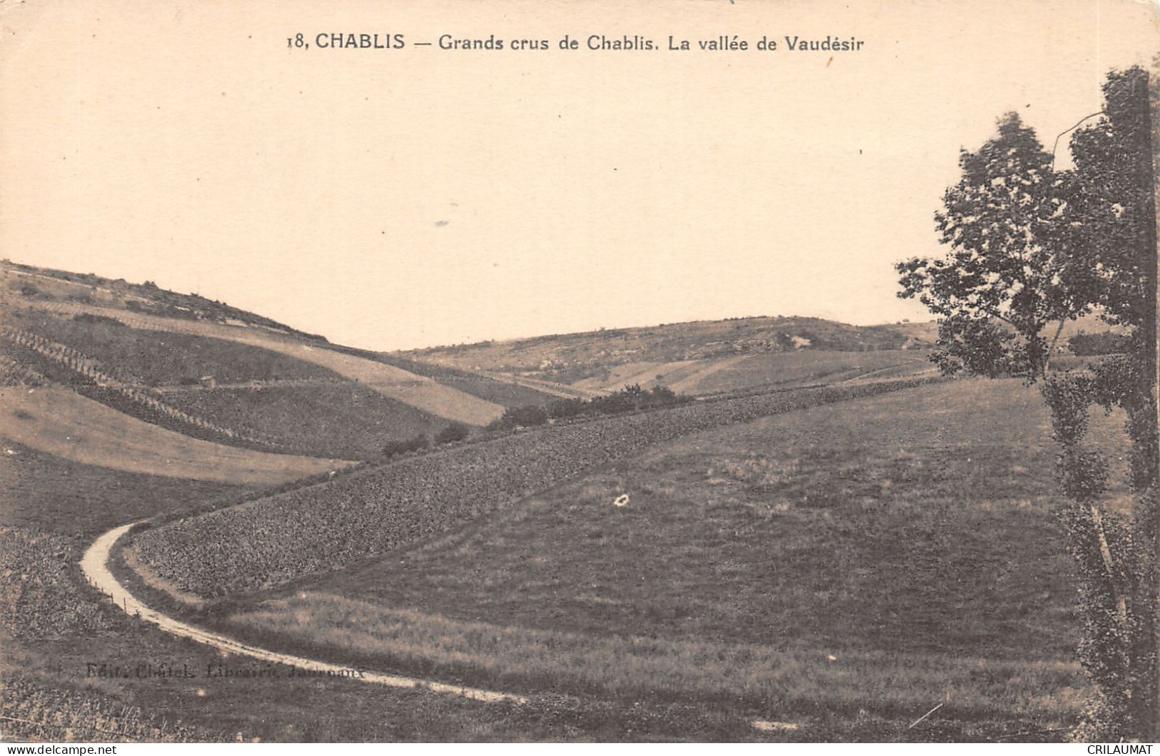 89-CHABLIS-N°6046-D/0223 - Chablis