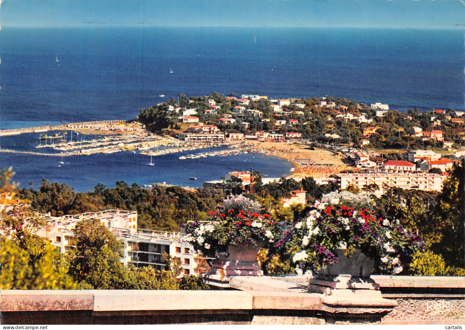 83-CAVALAIRE SUR MER-N° 4433-C/0183 - Cavalaire-sur-Mer