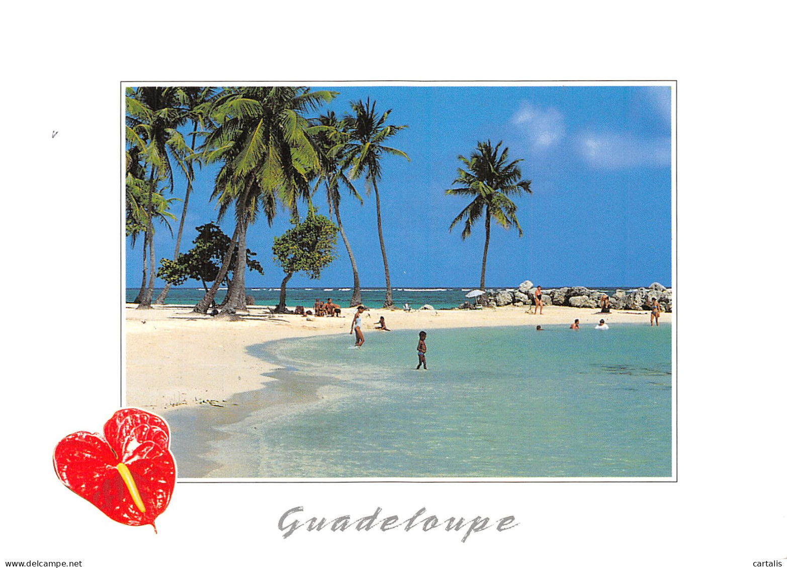 971-GUADELOUPE PLAGE DE SAINTE ANNE-N° 4433-A/0263 - Autres & Non Classés