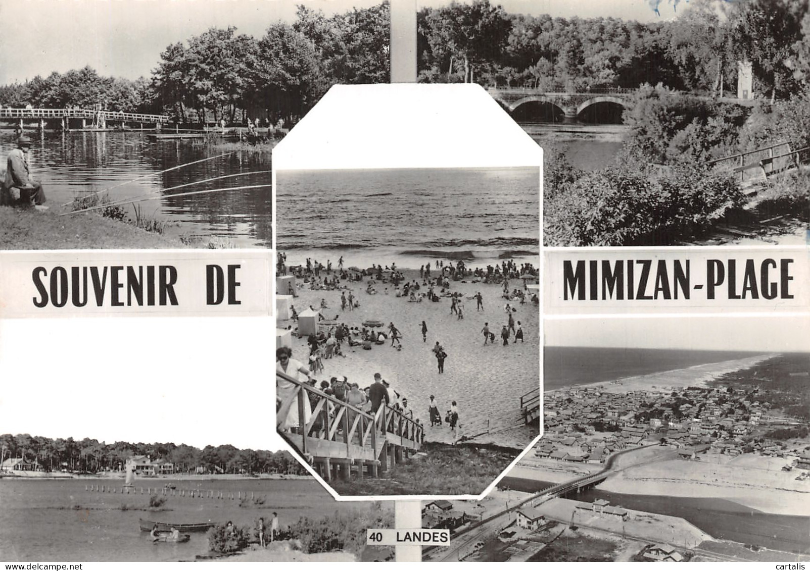 40-MIMIZAN PLAGE-N° 4434-D/0025 - Mimizan