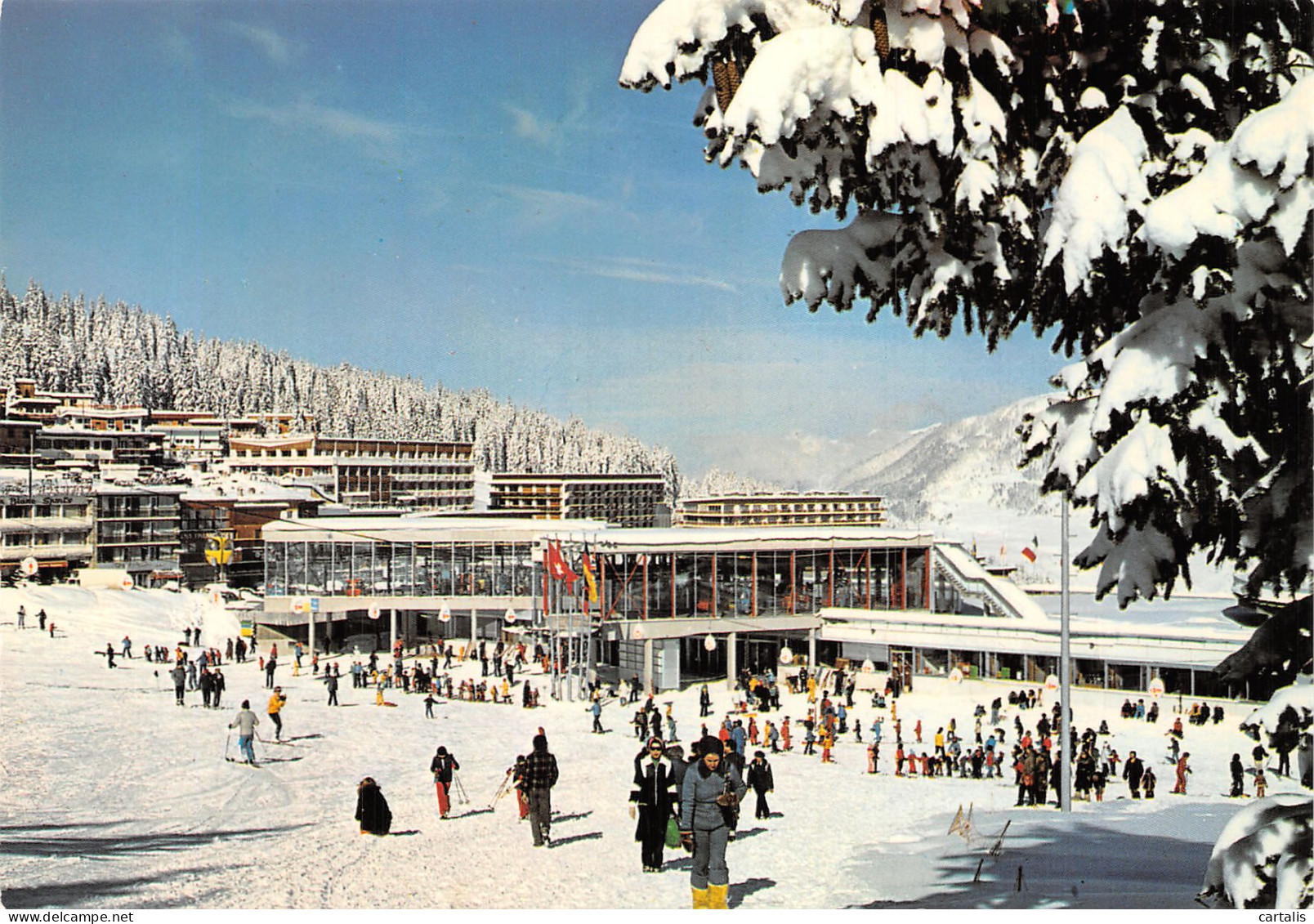 73-COURCHEVEL-N° 4434-C/0319 - Courchevel