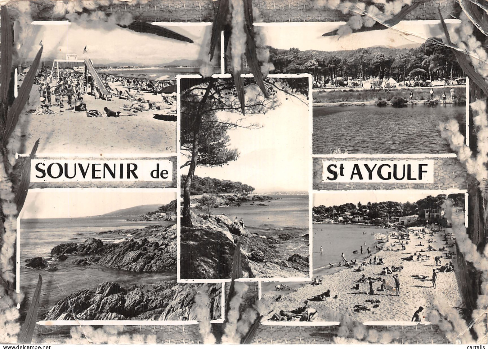 83-SAINT AYGULF-N° 4434-D/0041 - Saint-Aygulf