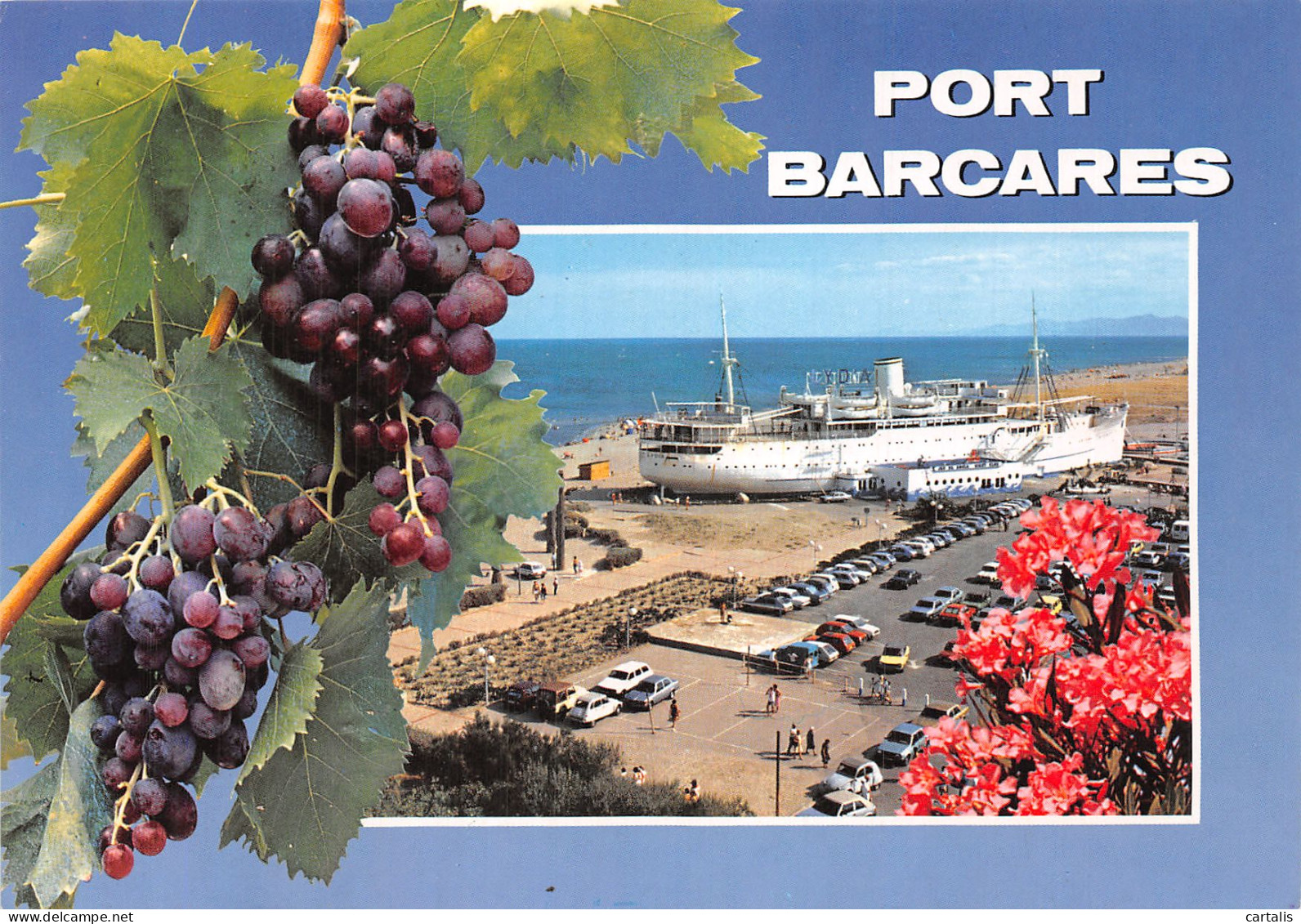 66-PORT BARCARES-N° 4436-A/0123 - Port Barcares