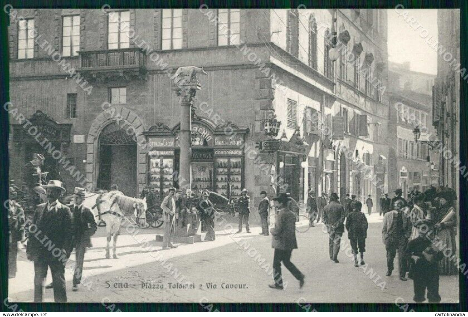 Siena Città Piazza Tolomei Via Cavour Cartolina RT1305 - Siena