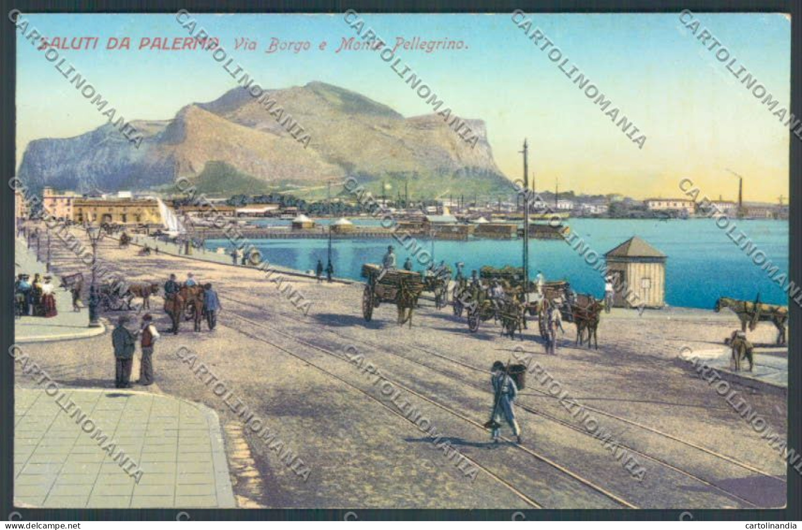 Palermo Città Monte Pellegrino Cartolina ZT8131 - Palermo