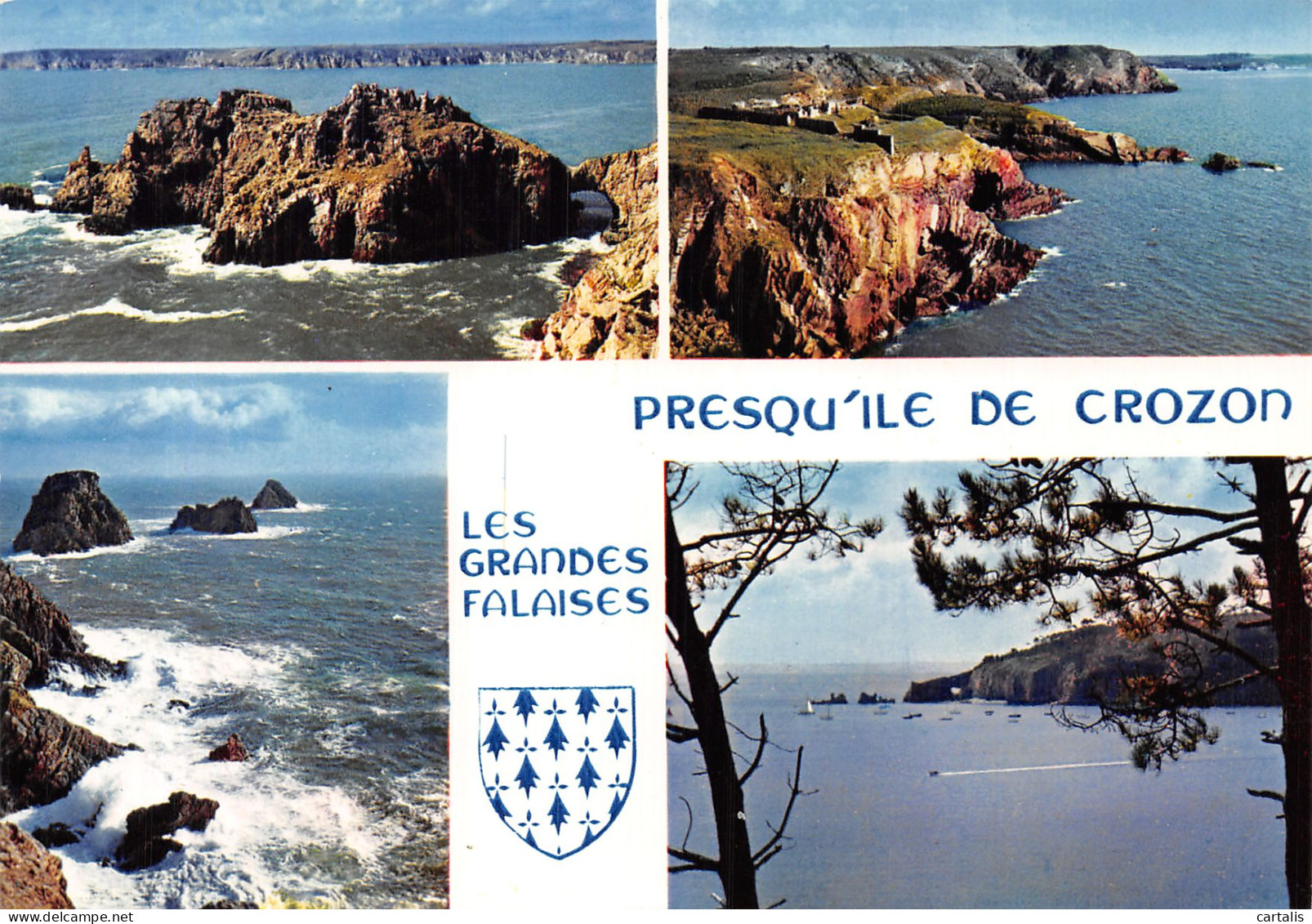 29-CROZON-N° 4436-B/0125 - Crozon