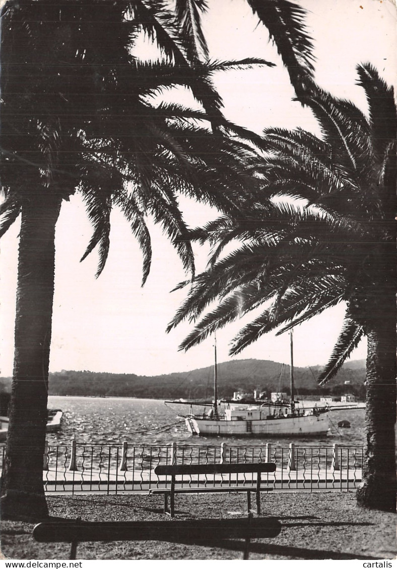 83-SAINTE MAXIME SUR MER-N° 4436-D/0279 - Sainte-Maxime