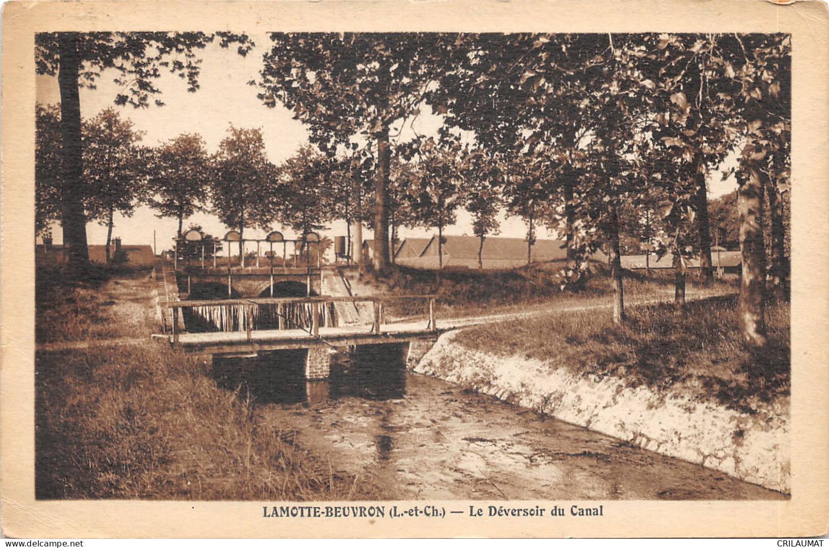 41-LAMOTTE BEUVRON-N°6049-B/0081 - Lamotte Beuvron