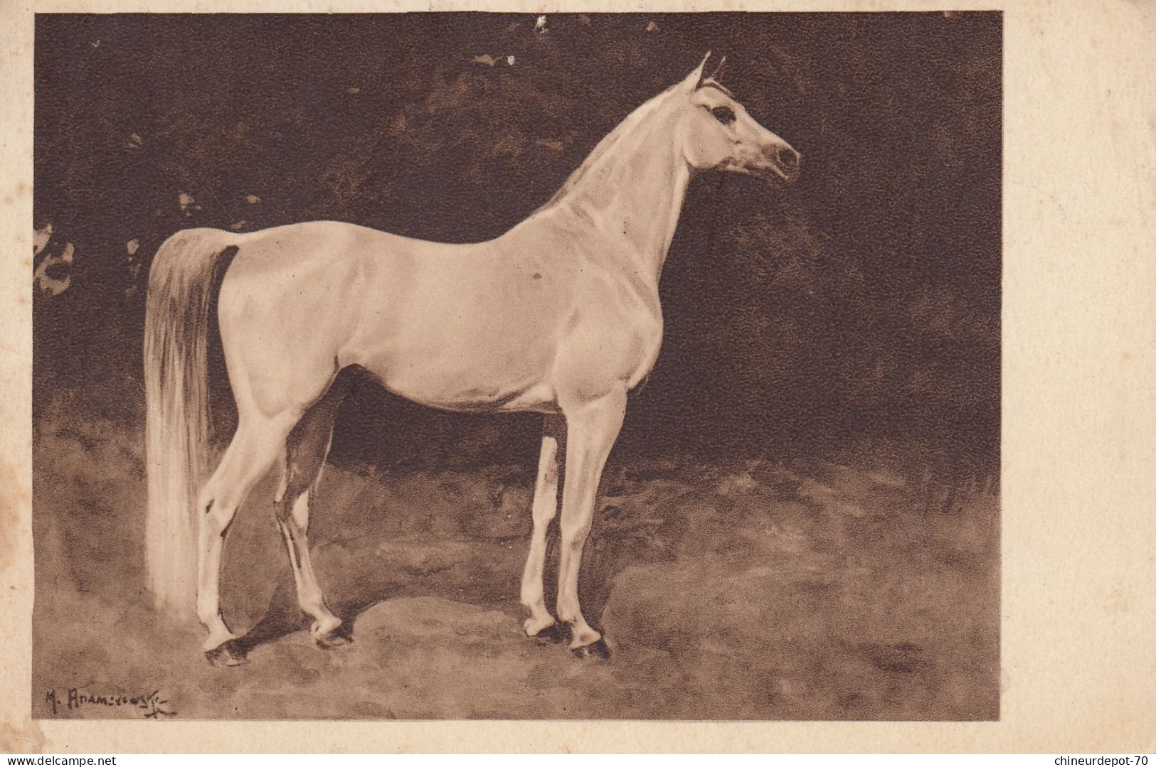 ANIMAUX CHEVAUX - Horses