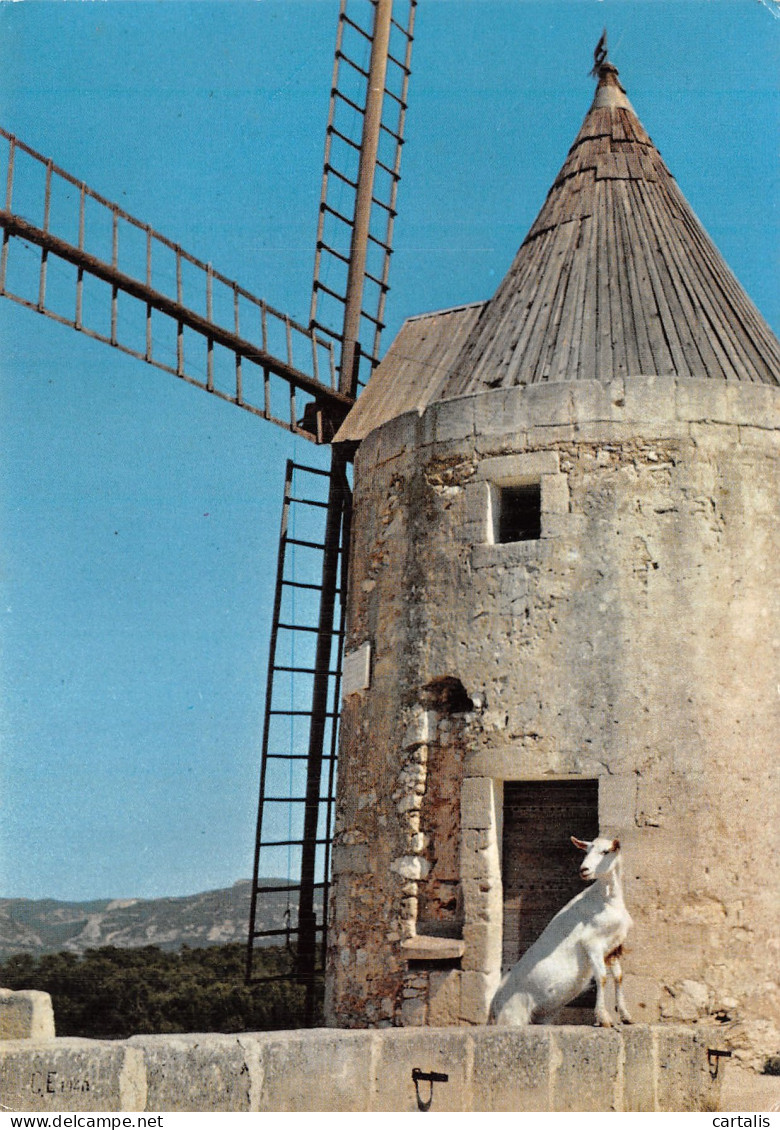 13-FONTVIEILLE MOULIN DE DAUDET-N° 4439-D/0093 - Fontvieille