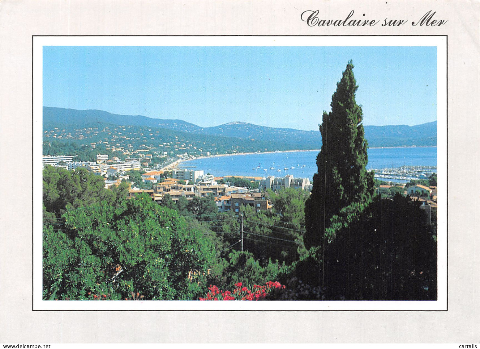 83-CAVALAIRE SUR MER-N° 4439-C/0053 - Cavalaire-sur-Mer