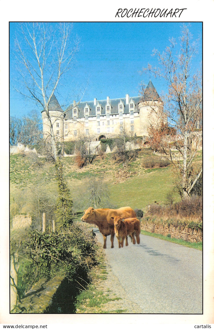 87-ROCHECHOUART-N° 4439-B/0265 - Rochechouart