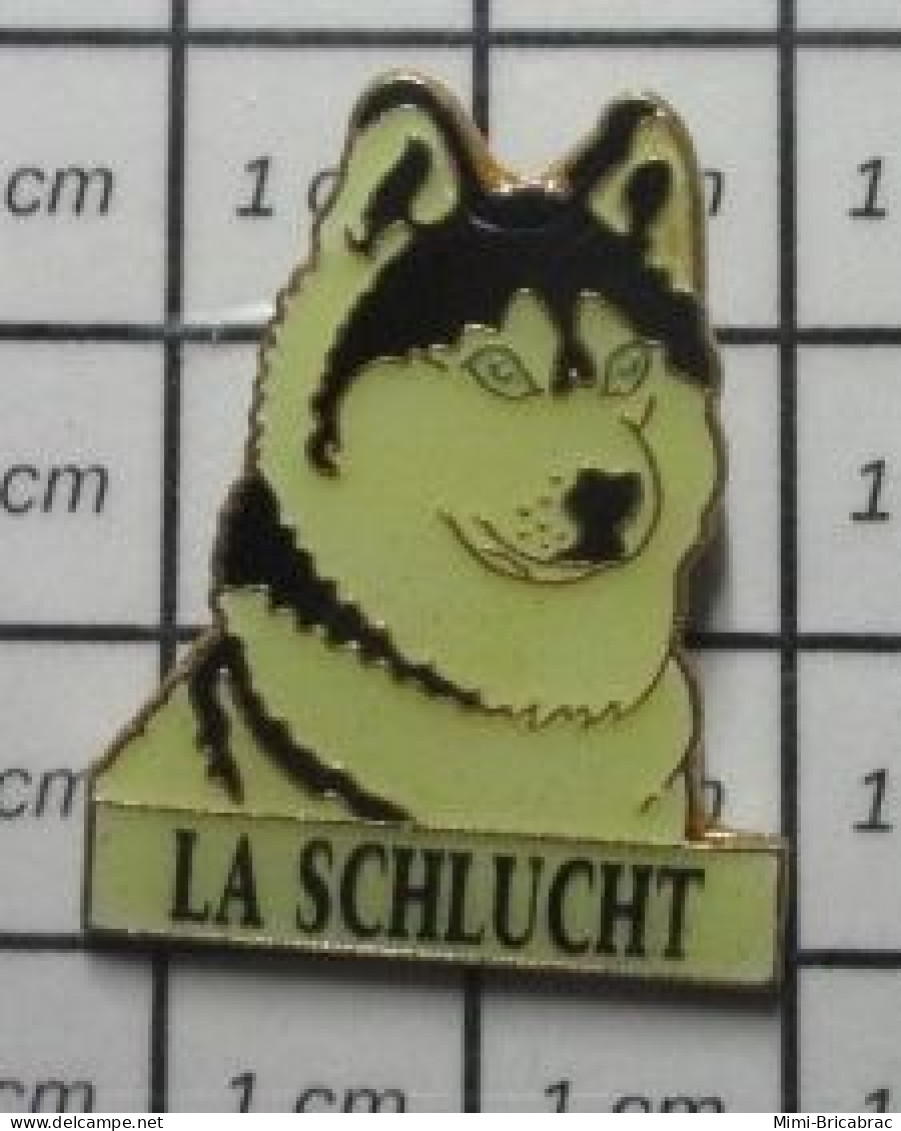 1618B Pin's Pins / Beau Et Rare : ANIMAUX / CHIEN DE TRAINEAU HUSKY LA SCHLUCHT - Dieren