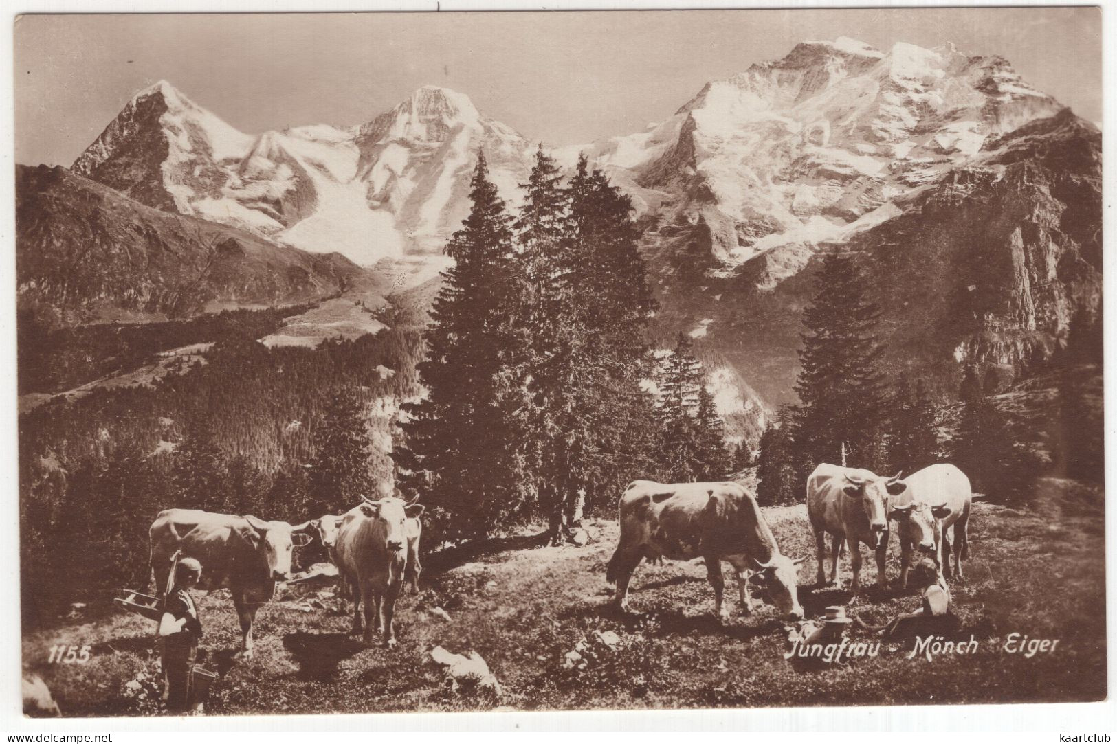 Jungfrau - Mönch - Eiger - (Schweiz-Suisse-Switzerland) - 1155 - Kunstverlag Schild-Bichsel, Brienz - Vieh/Vache/Cows - Wengen