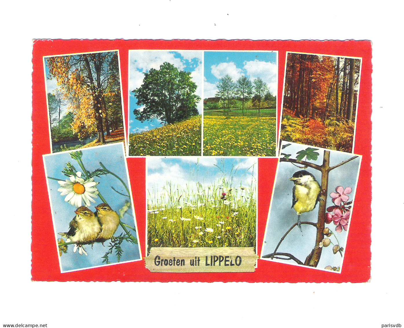 LIPPELO - GROETEN UIT LIPPELO    (12.632) - Sint-Amands