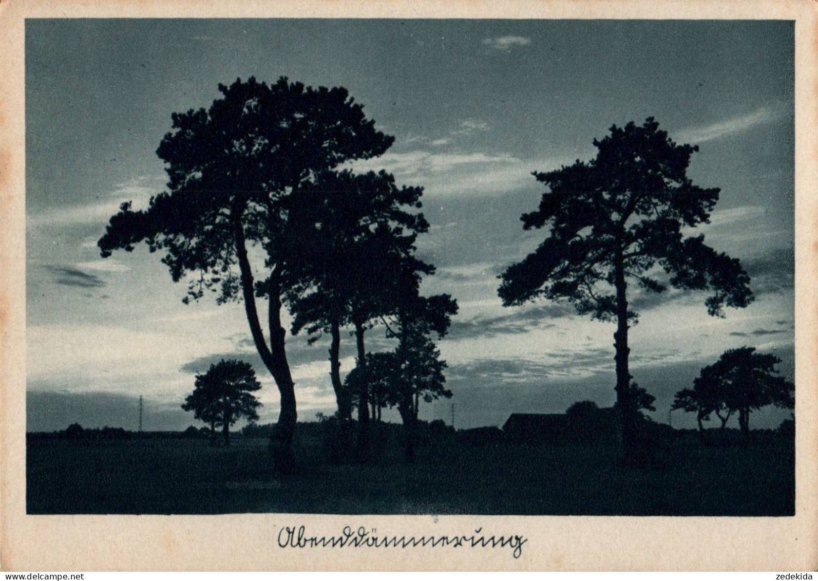 E9122 - Hoffmann Heinrich Foto Künstlerkarte - Abenddämmerung - Selbstverlag - Autres & Non Classés