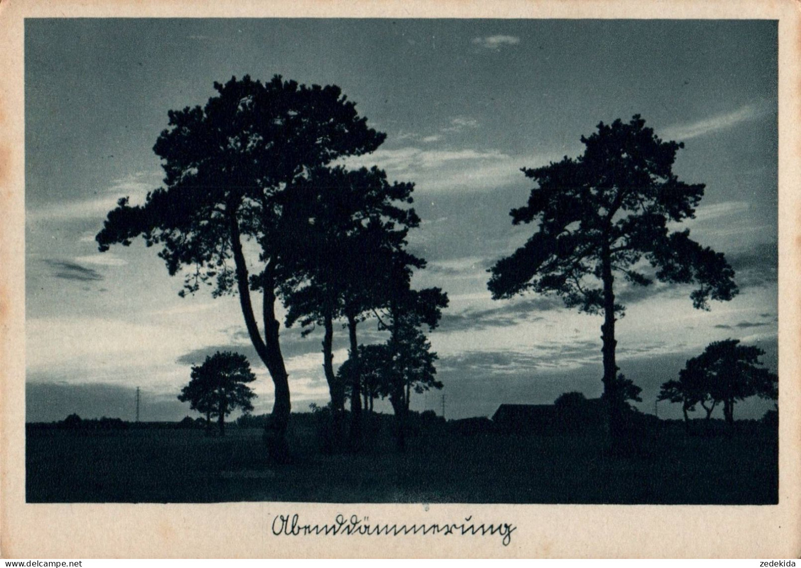 E9122 - Hoffmann Heinrich Foto Künstlerkarte - Abenddämmerung - Selbstverlag - Other & Unclassified