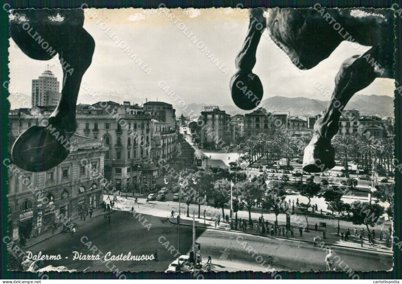 Palermo Città ABRASA PIEGHE Foto FG Cartolina ZK4428 - Palermo