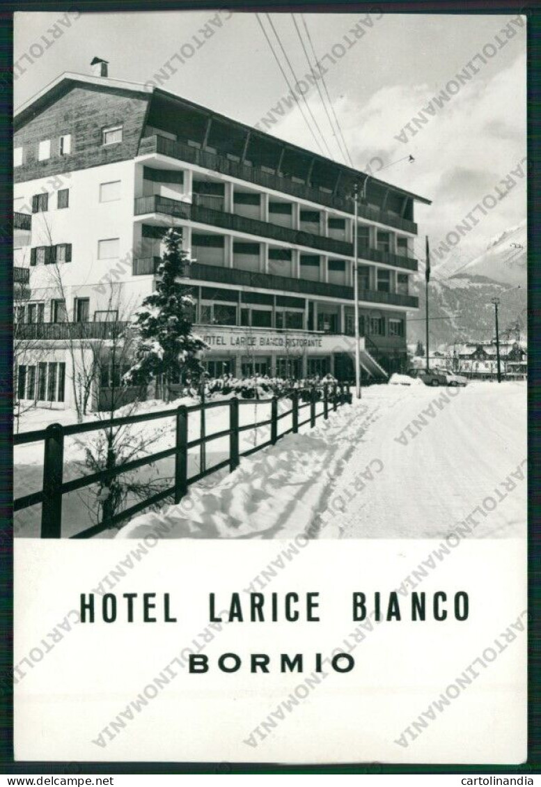 Sondrio Bormio Hotel Larice Bianco Foto FG Cartolina ZK2064 - Sondrio