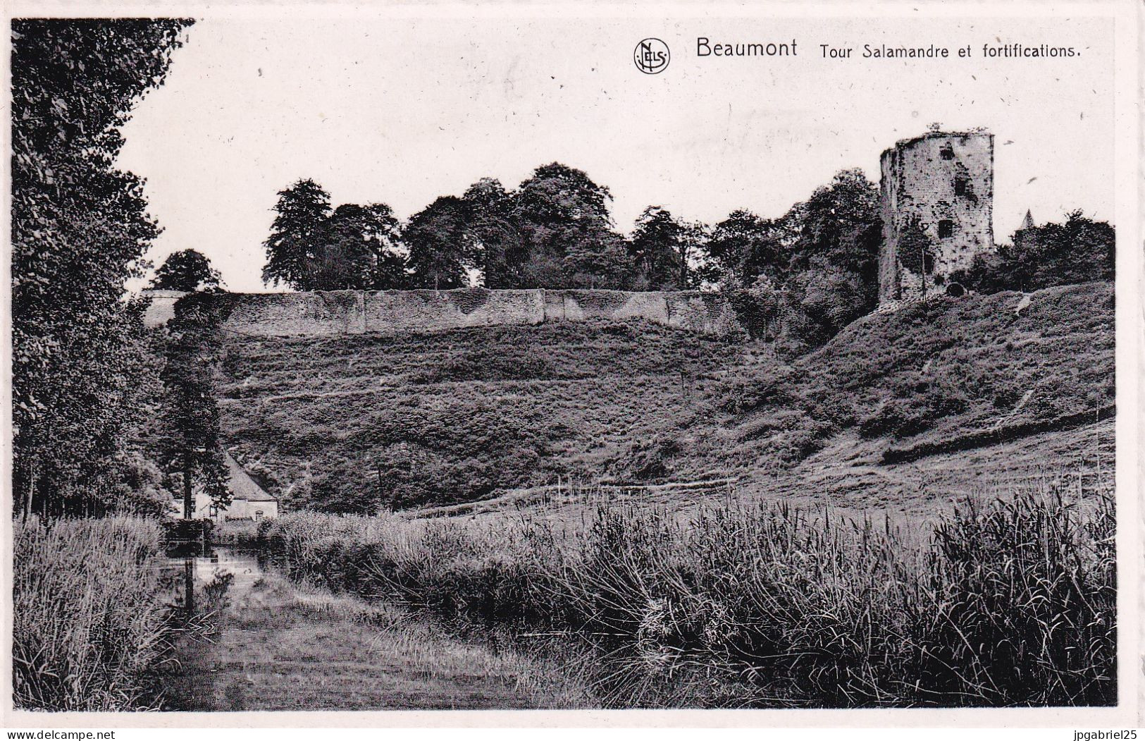 DEND Beaumont Tour Salamandre Et Fortifications - Beaumont