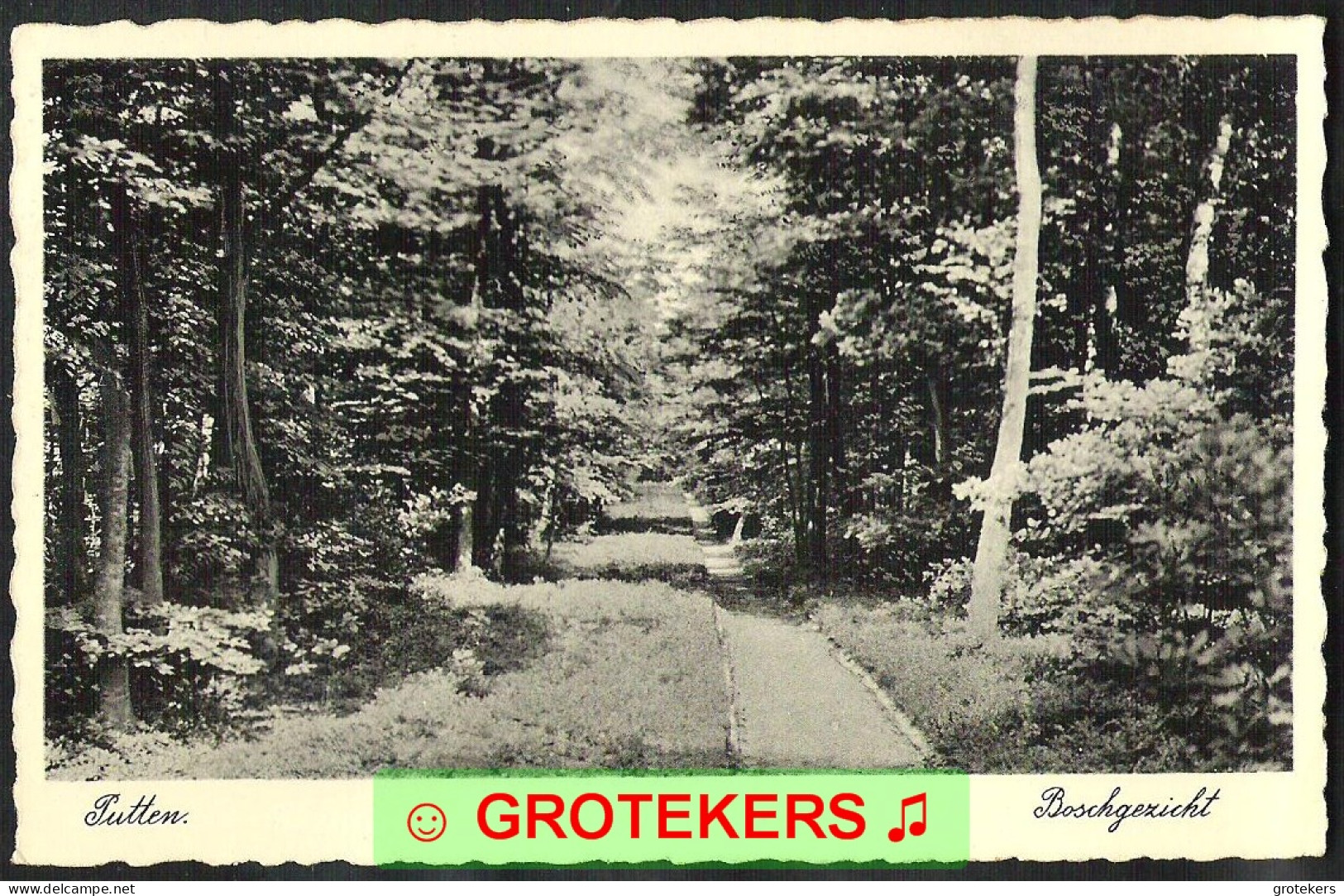 PUTTEN Boschgezicht 1935 - Putten