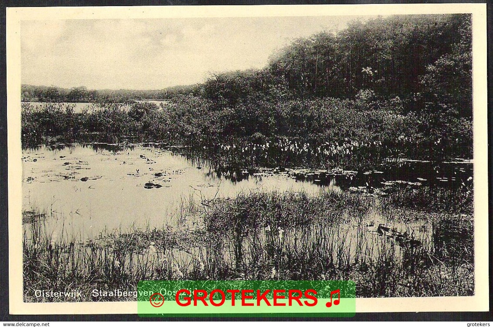 OISTERWIJK  5 Kaarten Van De Vennen Ca 1935 - Sonstige & Ohne Zuordnung