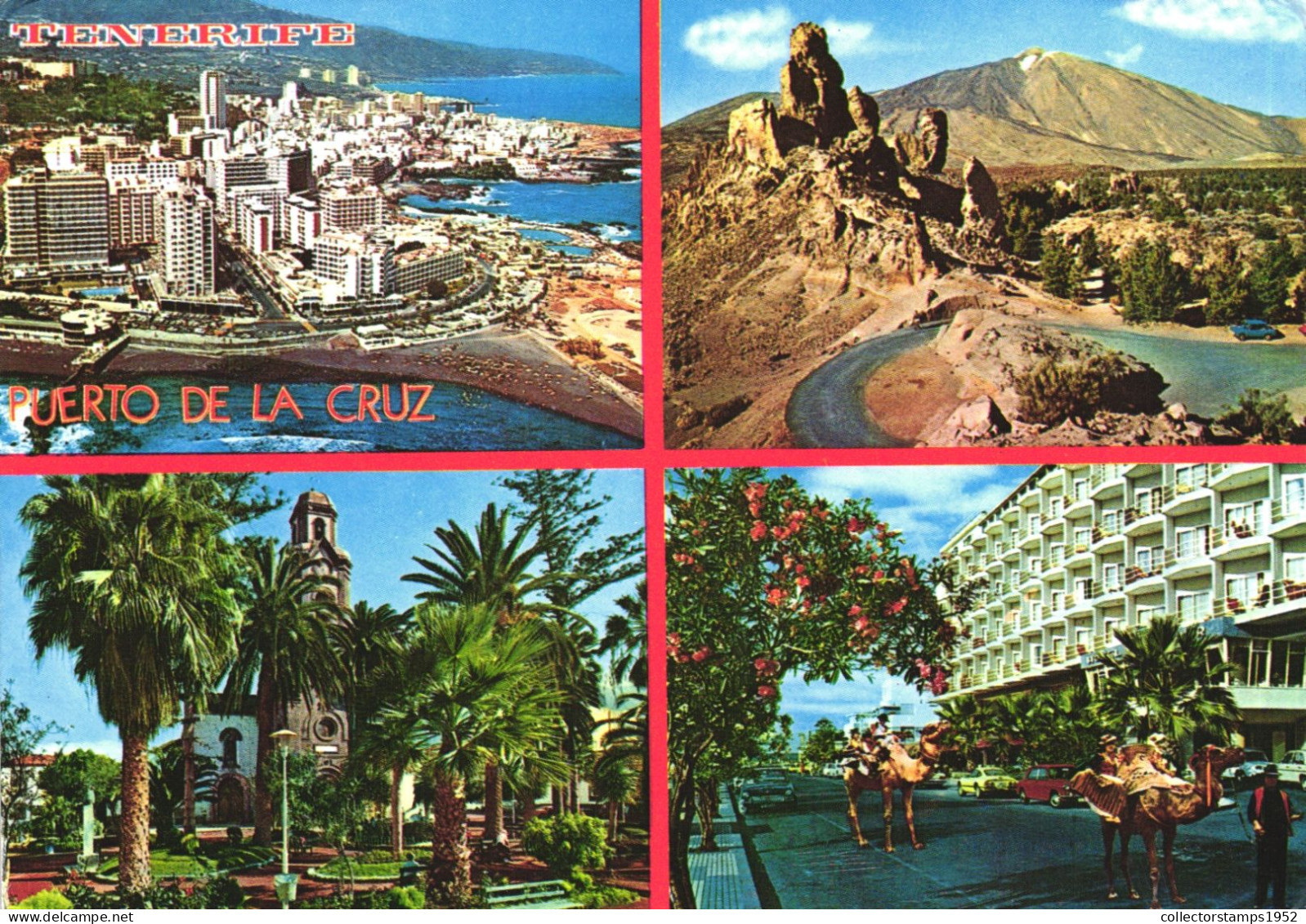 TENERIFE, CANARY ISLANDS, PUERTO DE LA CRUZ, MULTIPLE VIEWS, ARCHITECTURE, BEACH, PARK, MOUNTAIN, CAMEL, SPAIN, POSTCARD - Tenerife