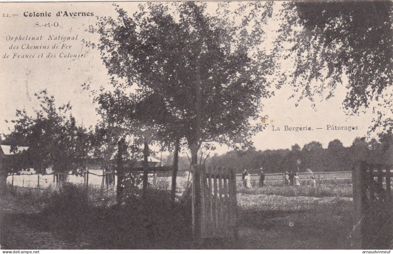 95-COLONIE D AVERNES LA BERGERIE - Avernes