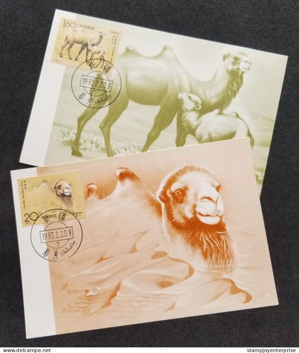 China Wild Bactrian Camel 1993 Wildlife Camels (maxicard) *concordance Postmark - Covers & Documents