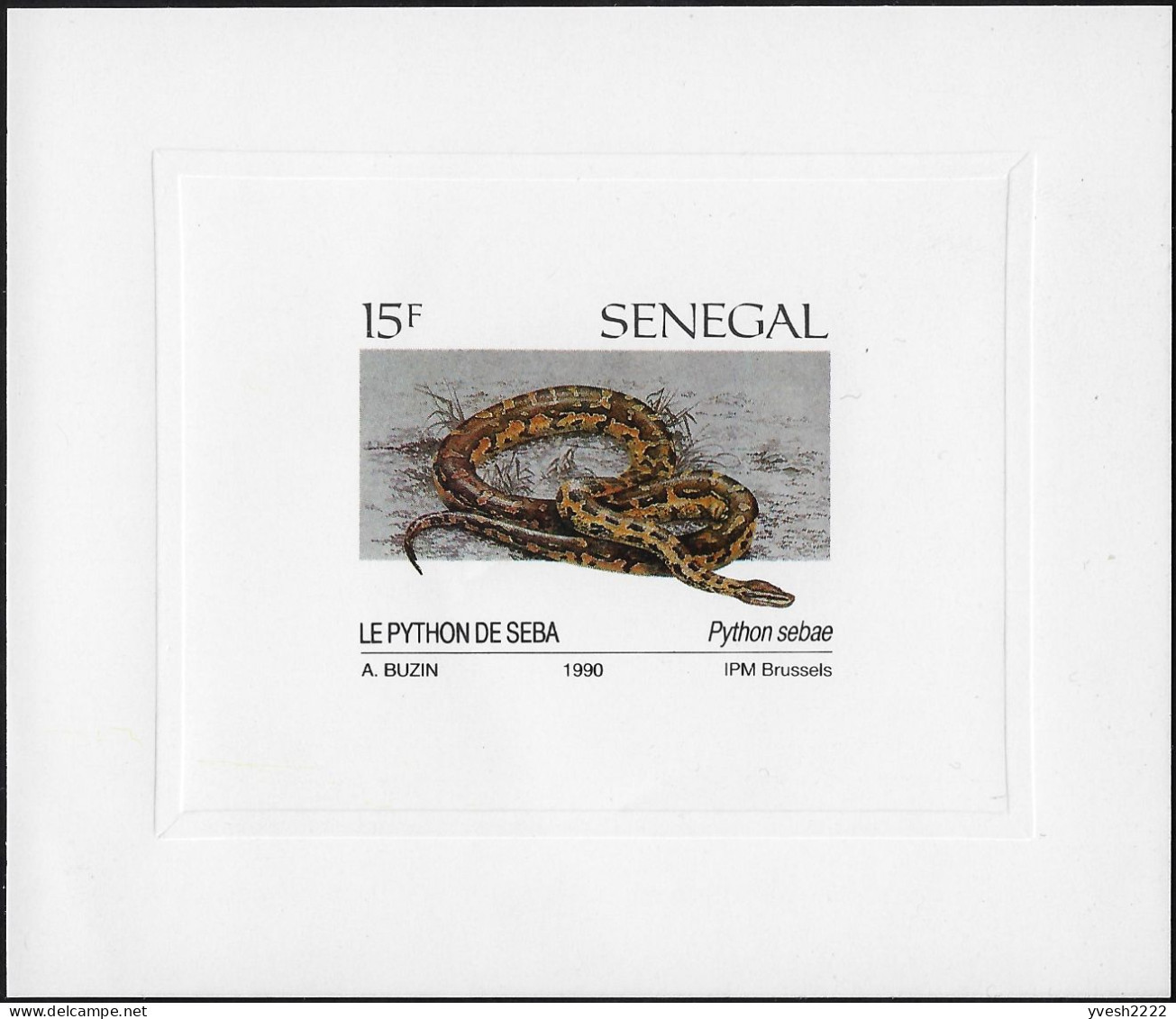 Sénégal 1991 Y&T 894 à 897, Feuillets De Luxe. Dessins D'André Buzin. Reptiles. Python De Seba, Tortue Verte, Crocodile - Other & Unclassified