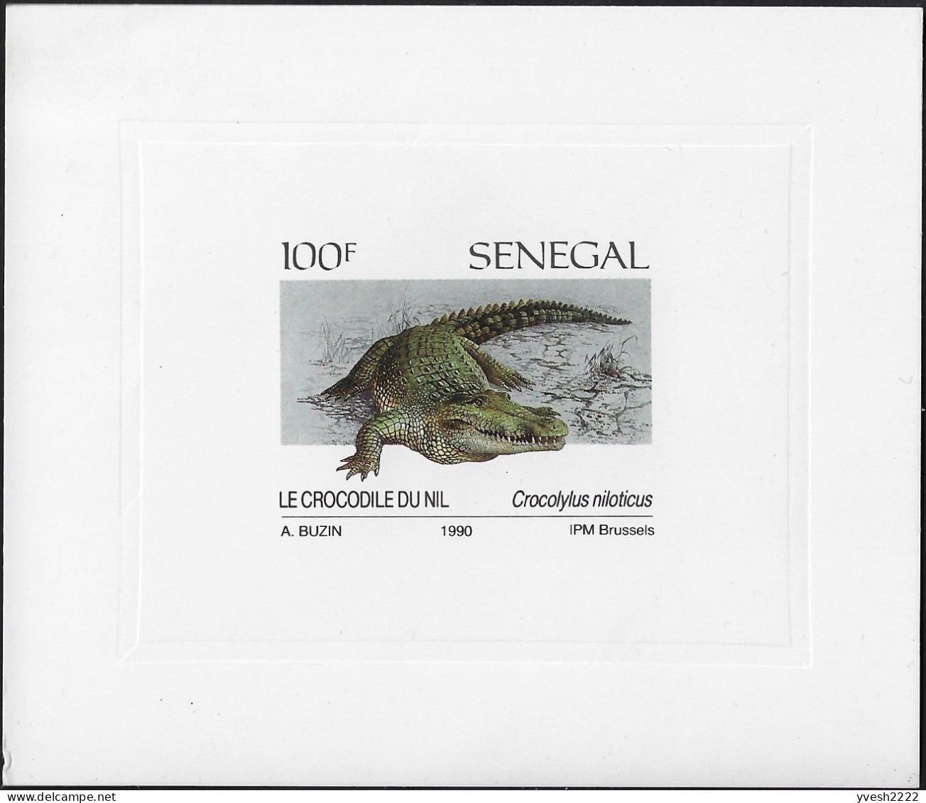 Sénégal 1991 Y&T 894 à 897, Feuillets De Luxe. Dessins D'André Buzin. Reptiles. Python De Seba, Tortue Verte, Crocodile - Andere & Zonder Classificatie