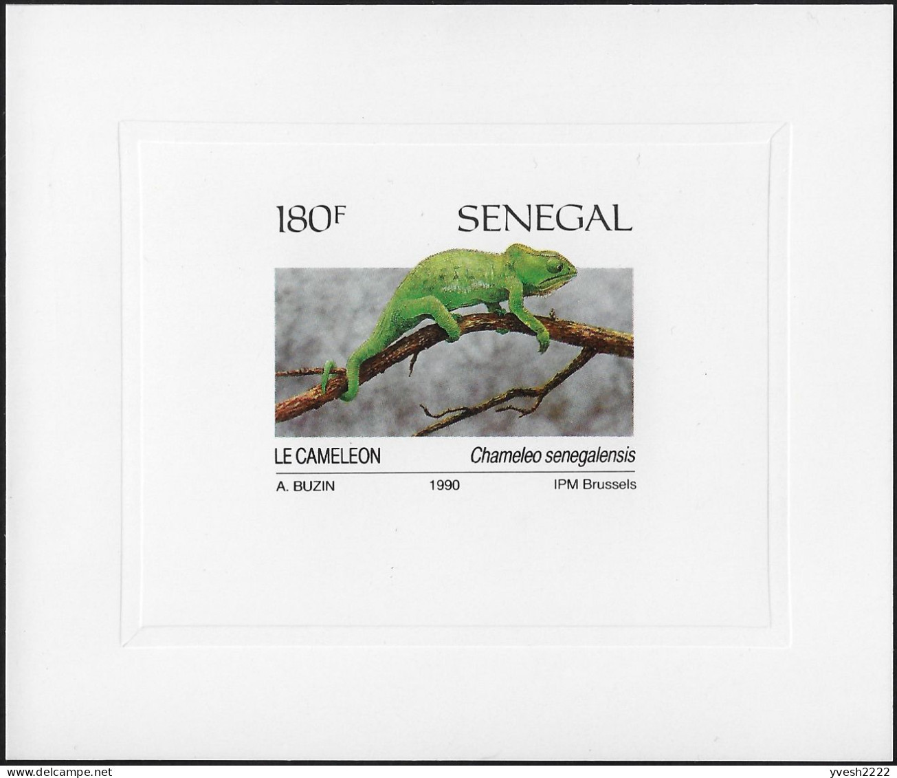 Sénégal 1991 Y&T 894 à 897, Feuillets De Luxe. Dessins D'André Buzin. Reptiles. Python De Seba, Tortue Verte, Crocodile - Andere & Zonder Classificatie