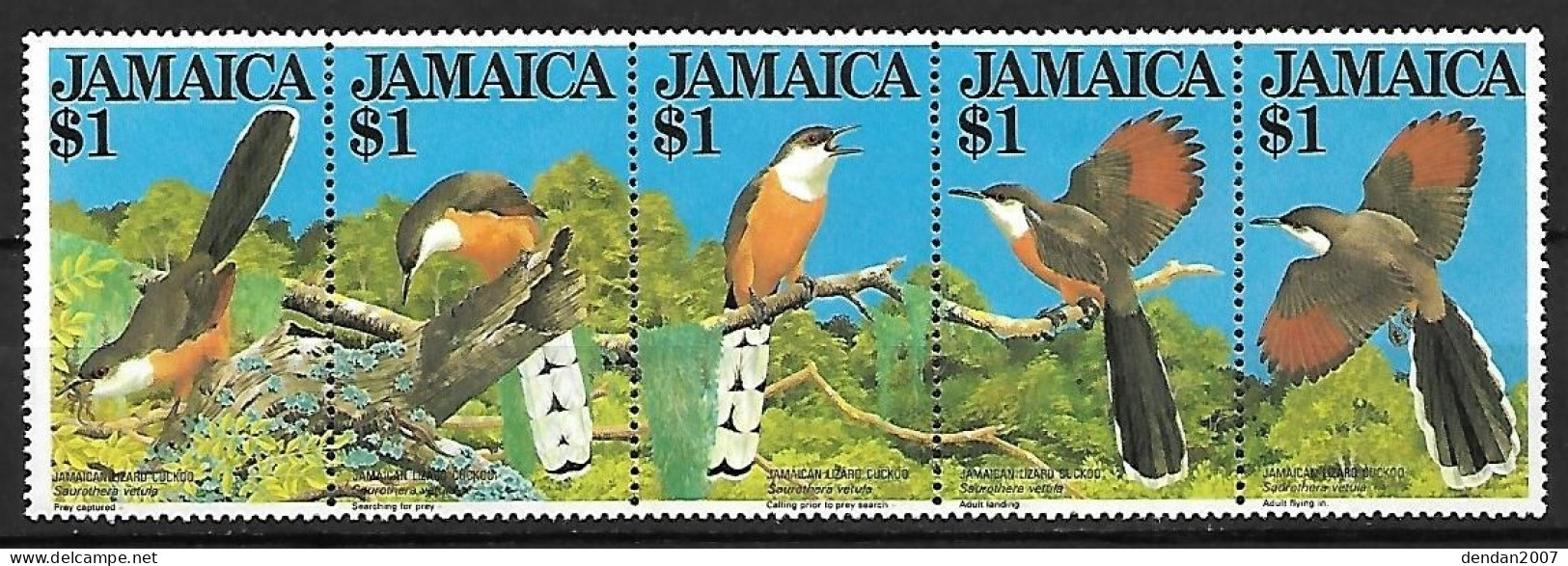 Jamaica MNH ** 1982 : Strip 5x  Jamaican Lizard Cuckoo  -  Coccyzus Vetula - Cuculi, Turaco