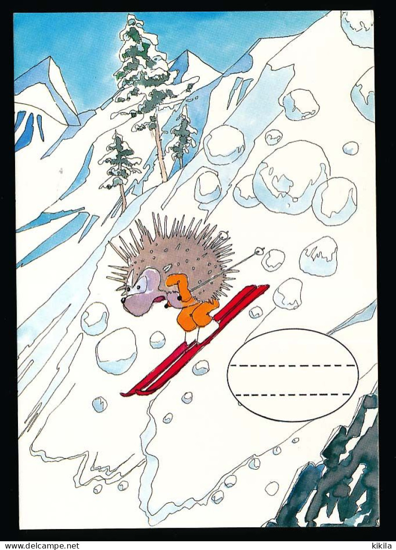 CPSM / CPM 10.5 X 15  Imaginez Votre Gag - Worstellen Ihren Scherz Collection Humoristique Hérisson Ski Avalanche - Contemporain (à Partir De 1950)