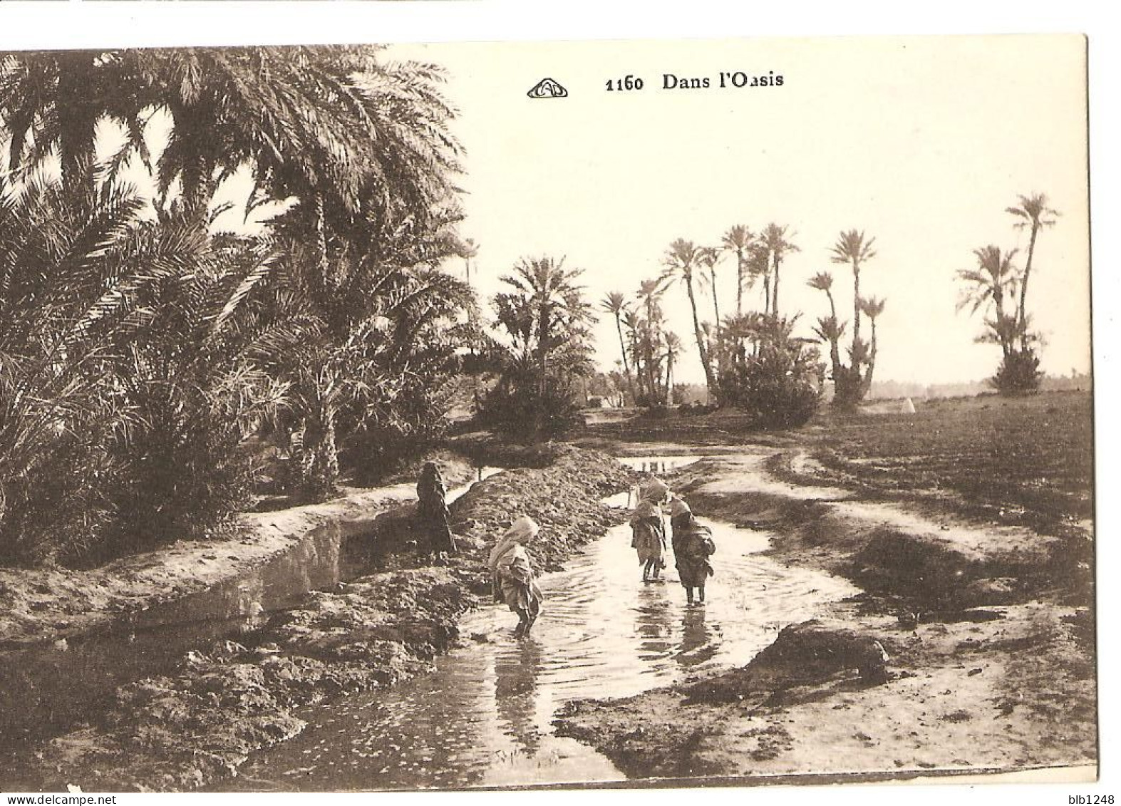 Algérie > Scenes Et Types Dans L'oasis - Plaatsen