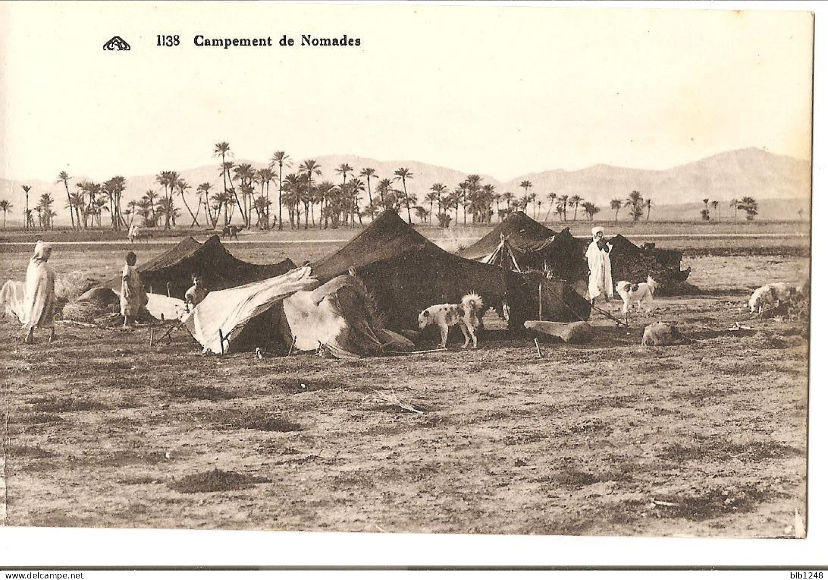 Algérie > Scenes Et Types Campement De Nomades - Escenas & Tipos